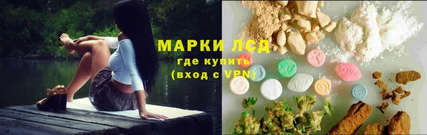 сатива Баксан