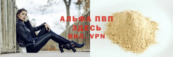 сатива Баксан