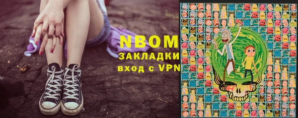 сатива Баксан