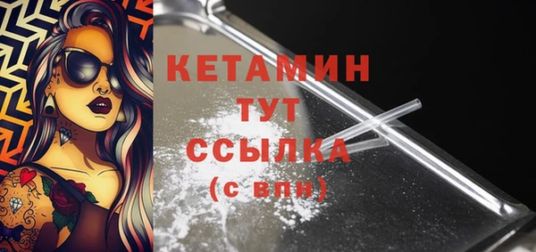 сатива Баксан