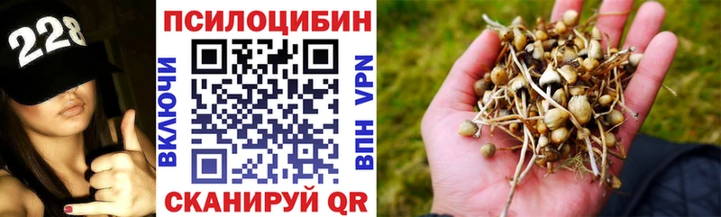 купить наркоту  Галич  Псилоцибиновые грибы мицелий 