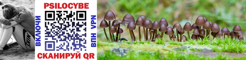 Галлюциногенные грибы Magic Shrooms Галич